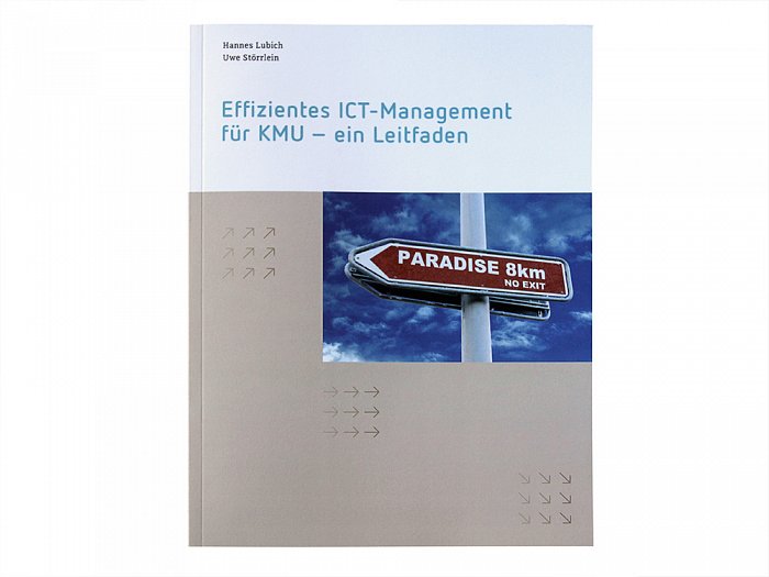 ICT-Management, Hannes Lubich