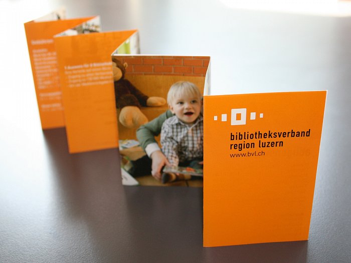 Bibliotheksverband Region Luzern