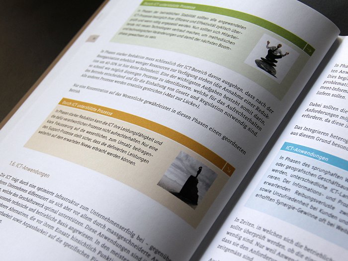 Buch ICT-Management